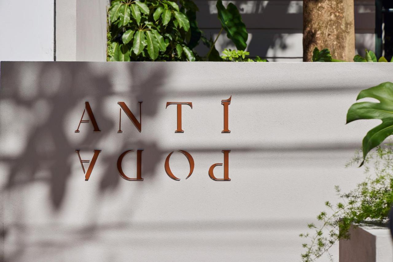 Antipoda Hotel Boutique เมเดยิน ภายนอก รูปภาพ