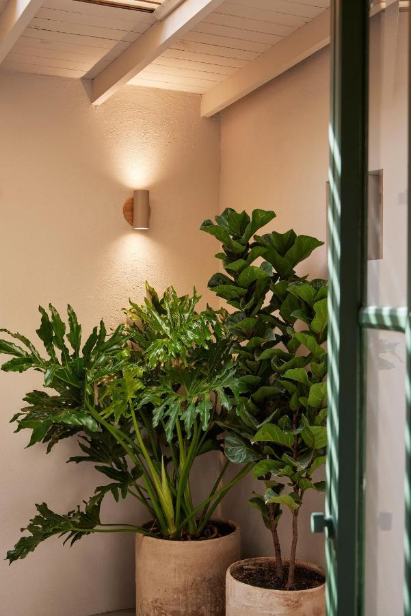 Antipoda Hotel Boutique เมเดยิน ภายนอก รูปภาพ