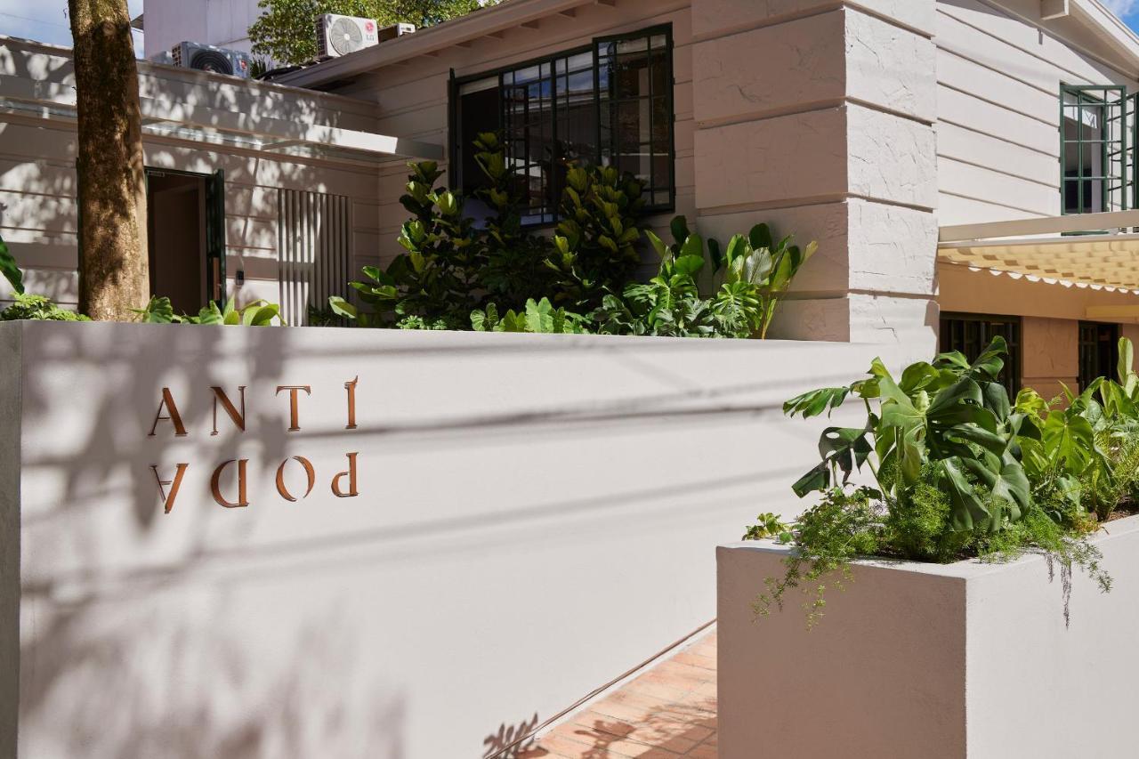 Antipoda Hotel Boutique เมเดยิน ภายนอก รูปภาพ
